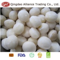 Top Quality Frozen Peeled Taro with Competitive Price