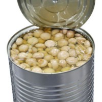 Popular Selling Champignons Canned Mushroom Canned Food