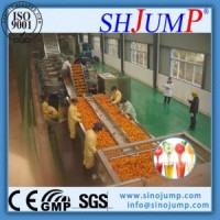 Hot Filling Fruit Juice Processing Machinery/Fruit Juice Processing Equipment