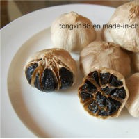 Whole Black Garlic (Multi Bulb)