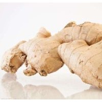 2017 Chinese New Crop Wholesale State Owned Fresh/Dried Ginger