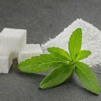 40% 50% 60% 90% 98% Rebaudiana Stevia  China Stevia Extract