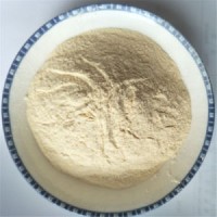 High Flavor Dehydrated Spicy Garlic Powder 100-120mesh Second Grade