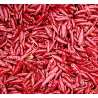 High Quality Dried Red Hot Chilli