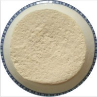 Irradiated Dehydrated Garlic Powder 80-100mesh