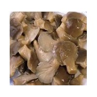 Chinese Hot Sales Nutritious Canned Mushroom