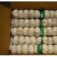 2018 New Crop Chinese Fresh Garlic