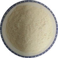 Chinese Dehydrated White Onion Powder