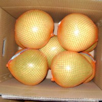 Fresh Pomelo/ Sweet Chinese Fruits