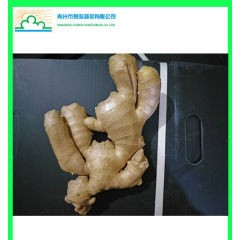 Hot Promotional Chinese Ginger Supplier From China Manufacturer图1