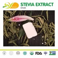 GMP Factory Supply 100% Natural Sweetener Stevia Powder for Condiment & Seasoning