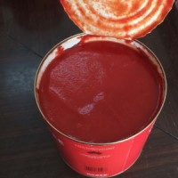 3kg High Quality Canned Tomato Ketchup