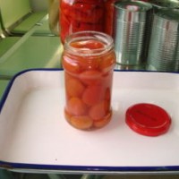 Canned Peeled Cherry Tomato in Water