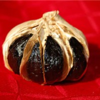 6cm Whole Black Garlic with Some Bulb