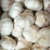 2018 Dry Garlic Granules Dehydrated Natural Garlic