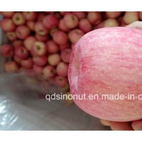 2015crop FUJI Apple (super quality)