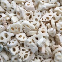 IQF Frozen Lotus Root Cut