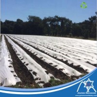 Outdoor Agriculture Cover UV 100% PP Nonwoven Fabric