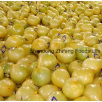 Fresh New Crop Honey Pomelo with Good Price