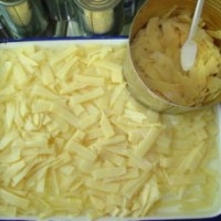 2950g Canned Bamboo Shoot Sliced