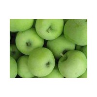 Export First Green Gala Apple Fruit (80/88/100/113/125)