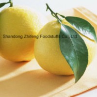 Chinese Fresh Pomelo with Good Quality