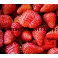 Individual Quick Freezin-IQF Organic Strawberry