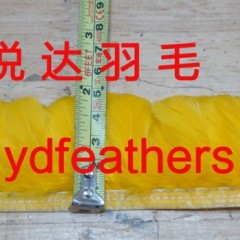 High Quality Hen Chicken Feather fringe for Wholesale图1