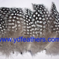 High Quality Polkadot Body Feathers For Wholesale