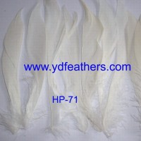 Stripped Goose Pluem Feathers for Wholesale