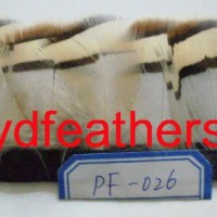 Partridge  Pheasant Body Feather Fringe Trim