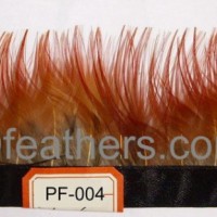 Golden Pheasant Body Feather Feather Fringe For Wholesale