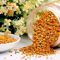 Fresh 100% Natural Corn Bee Pollen