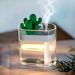 160ml Cactus Transparent USB Atomizer air Humidifier图1