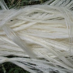 Top Quality 100% Natural Sisal Fiber Good Price/UG Grade图1