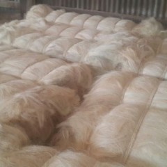 Top Quality 100% Natural Sisal Fiber Good Price/UG Grade图3