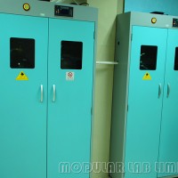 Steel Laboratory Gas Cylinder Cabinet