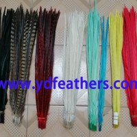 Best Quality Dyed Ringneck Pheasant Tail Feathers From China