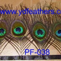 Peacock Tail Feather Fringe For Garment Accessories