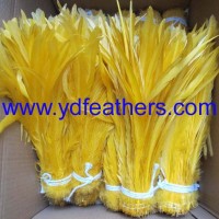 dyed yellow rooster tail/cocktail for wholesale