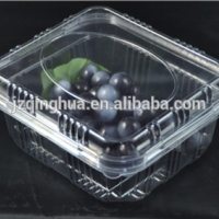 Disposable Plastic Fruit Tray Manufacturer pet Clamshell Blister