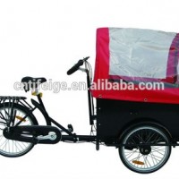 24" Carrying Baby Cargo Tricycle (FP-CARGO TRI 01)