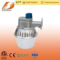 Outdoor Waterproof IP65 Mercury Fixture Lamp