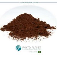 COFFEE POWDER