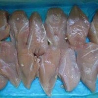 Frozen Fresh Halal Chicken Meat Boneless Skinless