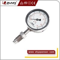 Explosion Proof Sanitary Diaphragm Pressure Gauge