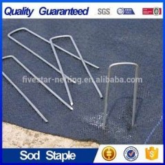 6'' Garden Sod Staple / Landscape Nails Galvanized图1