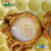 10-HDA 1.8% Organic Fresh Royal Jelly Or Bee Milk Wholesale Natural Honey Royal Jelly Comb Honey