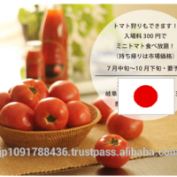 Japanese Fresh Tomato Juice Drink/Soft Drink