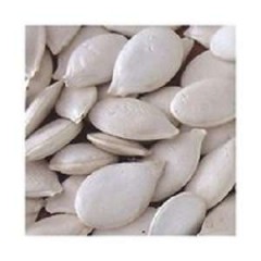 Best Price Wholesale Organic Pumpkin Seeds Kernels图1